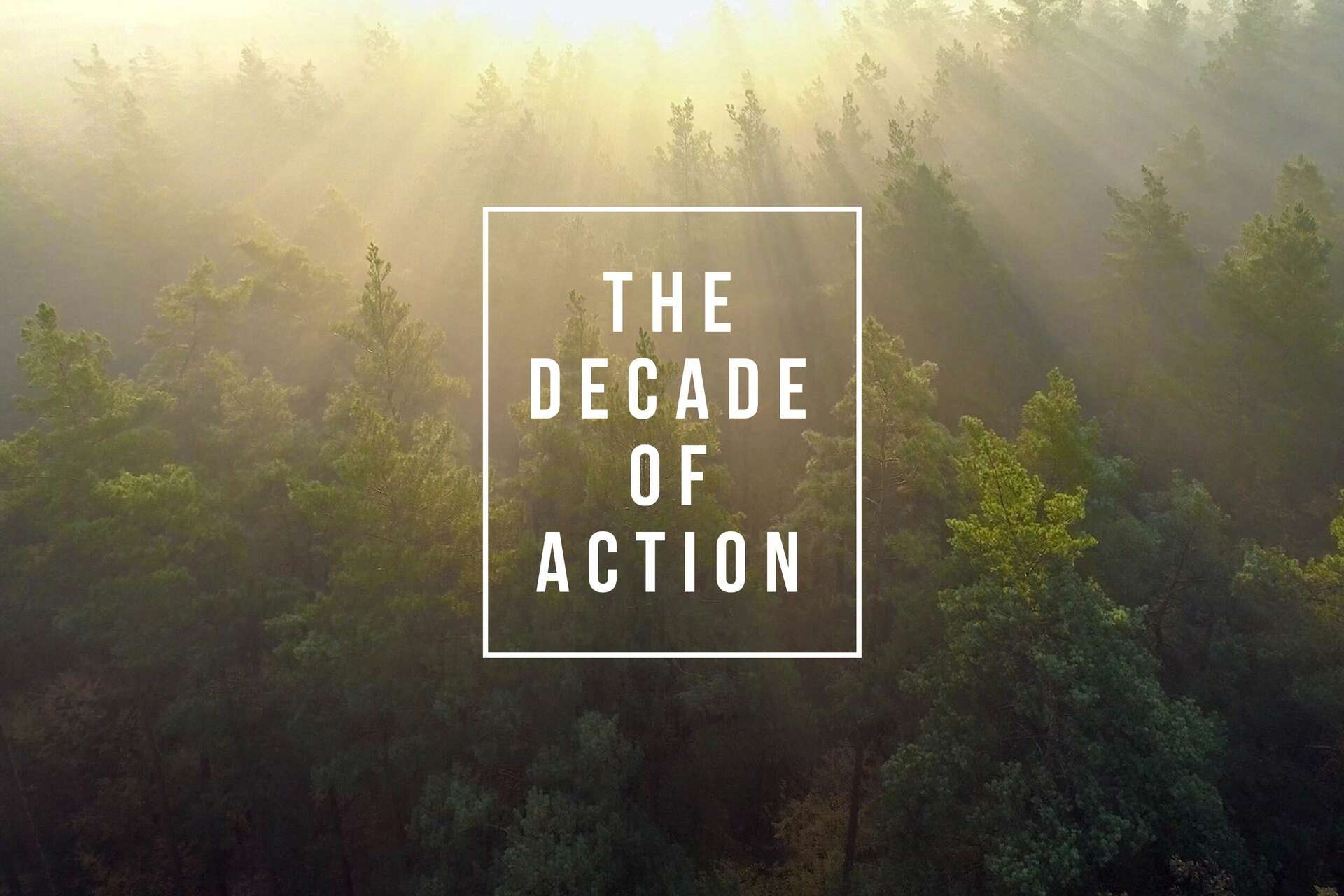 Video laden: The Decade of Action - Sustainability